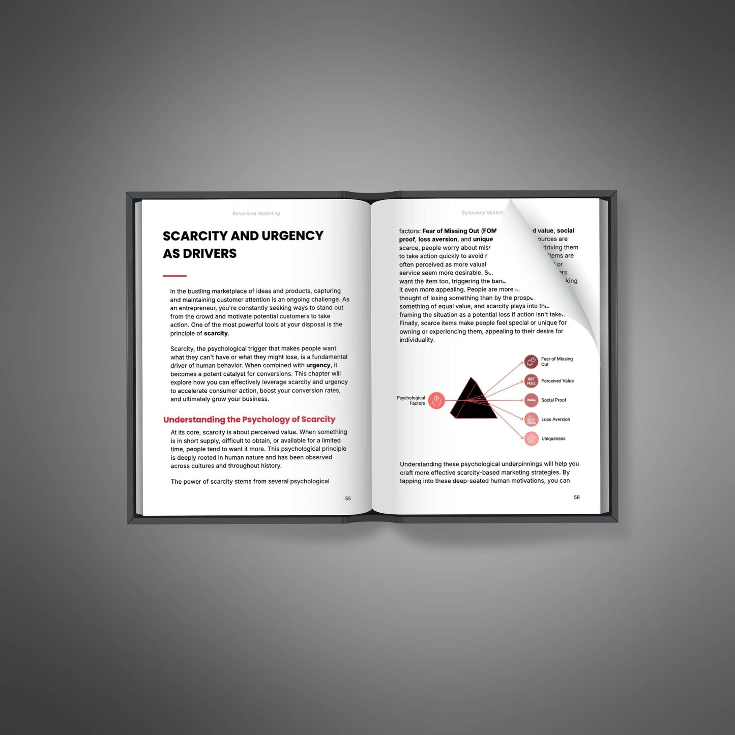 Behavioural Marketing: The Fundamentals