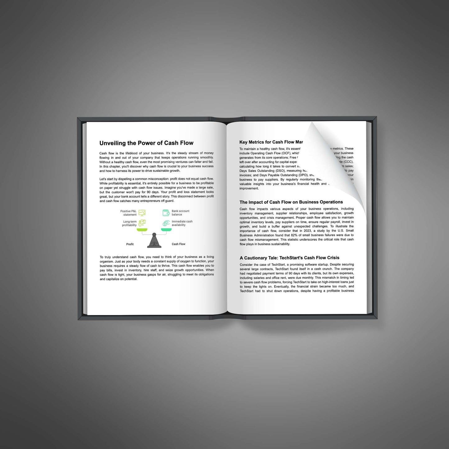 Cashflow Mastery: The Fundamentals