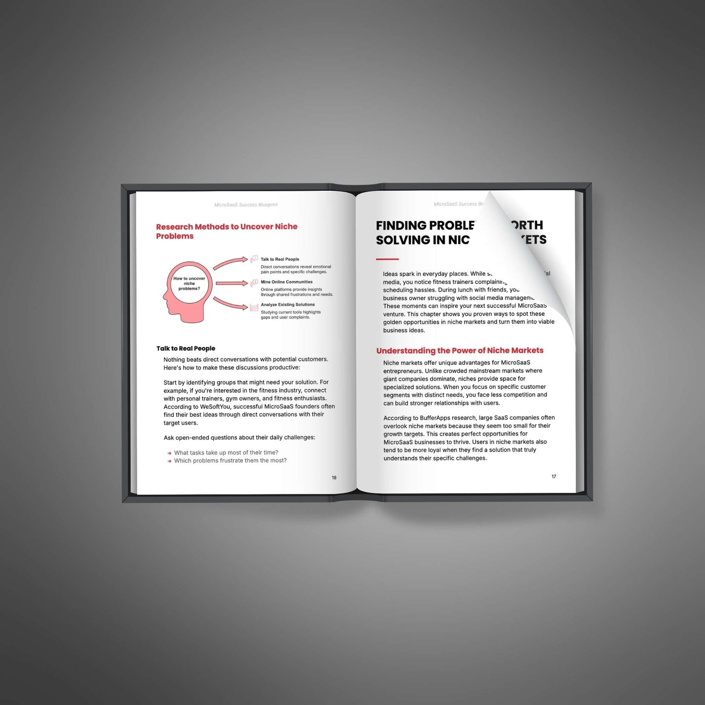 MicroSaaS Success Blueprint